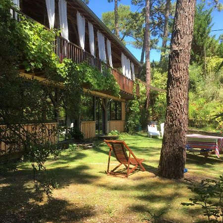 La Maison Face Au Port เลเฌอ-แกป-เฟร์เร ภายนอก รูปภาพ