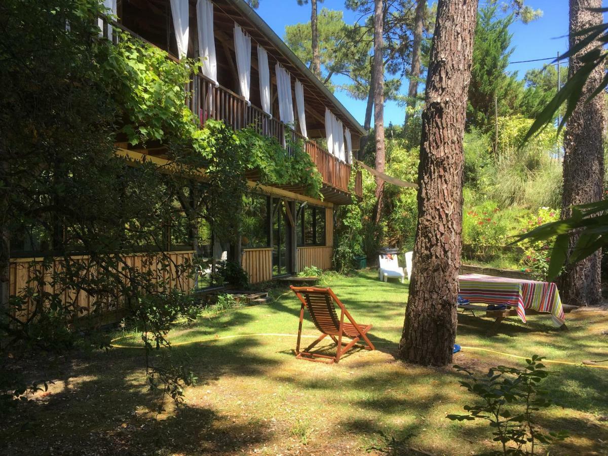 La Maison Face Au Port เลเฌอ-แกป-เฟร์เร ภายนอก รูปภาพ
